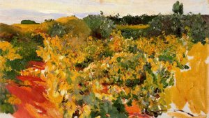 Vineyards study