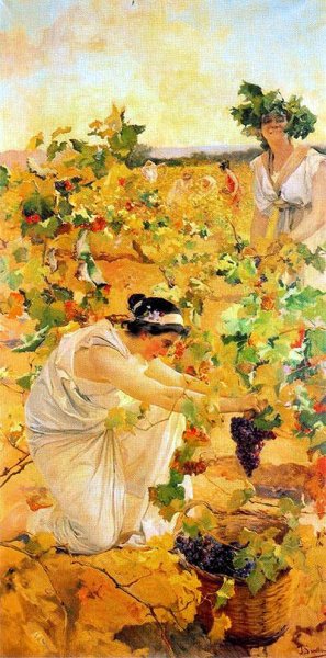 Grape Harvest